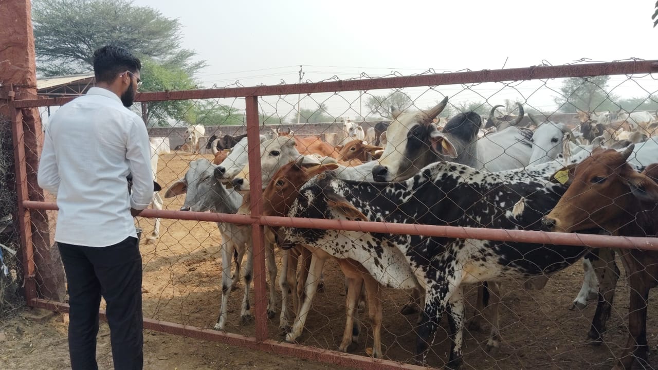 Tehandesar Goushala Swachhata Abhiyan