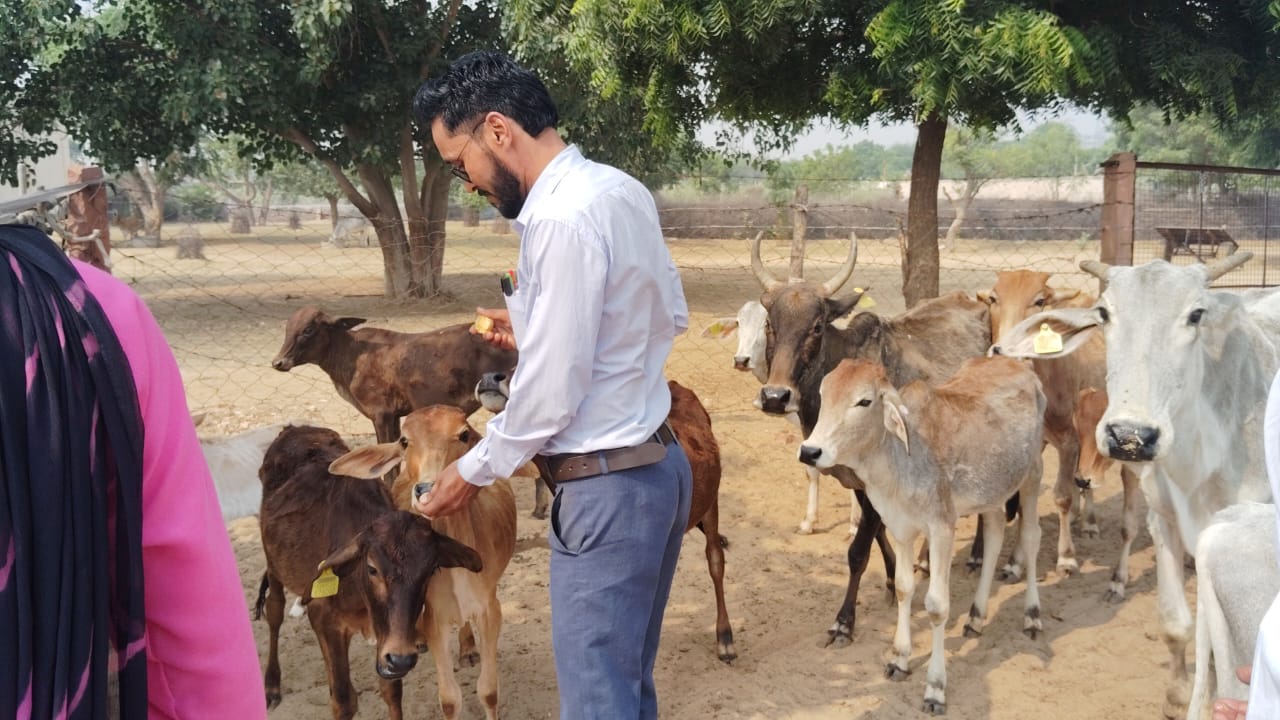 Tehandesar Goushala Swachhata Abhiyan