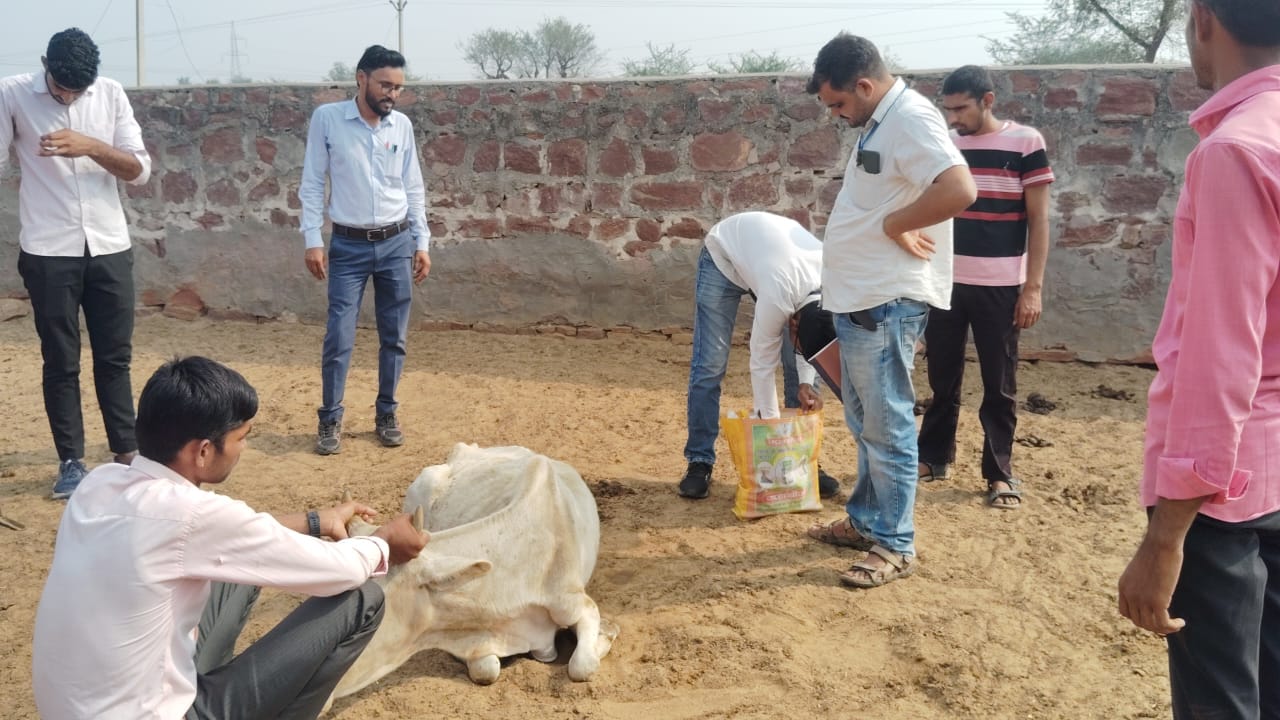 Tehandesar Goushala Swachhata Abhiyan
